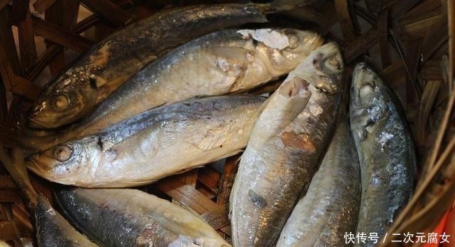 行家|以后去市场买这5种鱼,连鱼铺老板都会夸你是行家