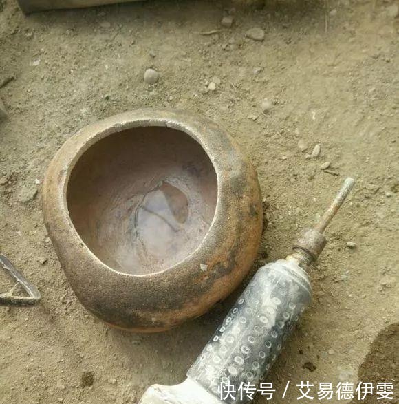 大爷用石头来养花,越养越值钱,有人出1000块也不卖!