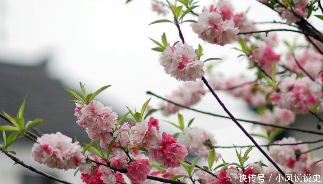 韩愈和白居易写诗互怼!韩愈:你放我鸽子!白居易:我就是不想去