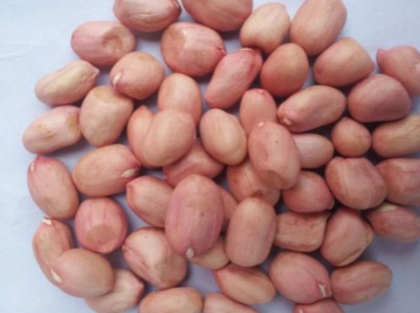 烤馒头片|养胃食物榜单公布:面条第3、小米粥第2,第一名你可能不知道