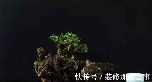 个性|破壶烂瓦做盆,每一个都破出了个性