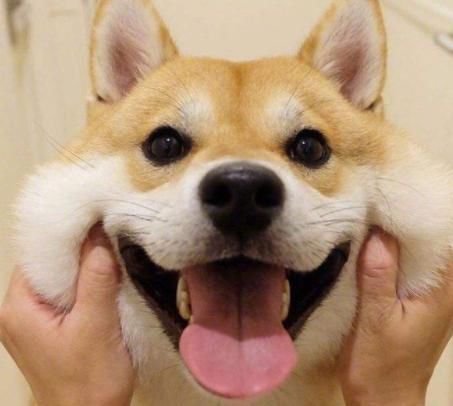 中老年人|走路能看出是否长寿？这是长寿人的四个好习惯，你占了几个？