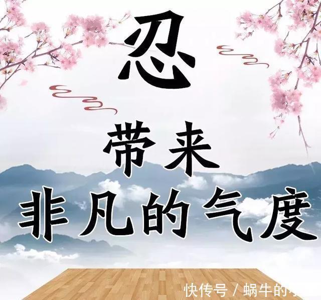 句句|孔雀美图,赏心悦目,字字在理,句句入心