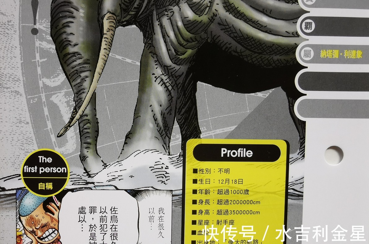 情报|海贼王官方情报身高超35000米,一鼻甩飞三灾JACK, 巨大生物象主