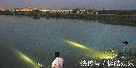 夜钓鲤鱼,真的不用吹,这套钓法最管用,大鲤鱼接连入护