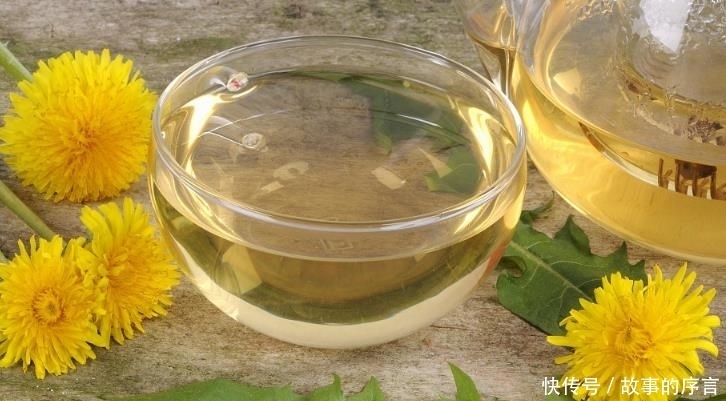 天天|蒲公英泡水，一次放多少合适？能天天泡水喝吗？早看早受益