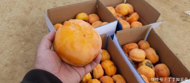 太行山美食系列之一 千古易州 体味民间的满汉全席