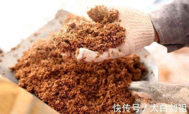 不讲武德！男子敲碗抓鱼，鱼是凭声音被一网打尽的吗？