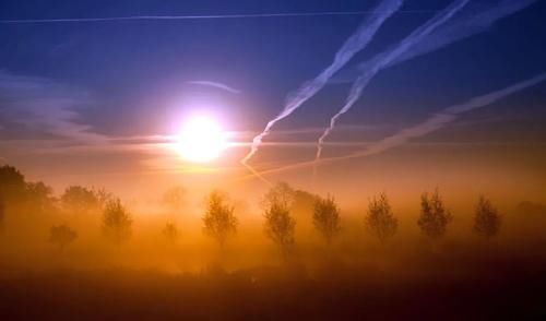 动物图腾：斑马，探索与回归，知晓一切的勇气