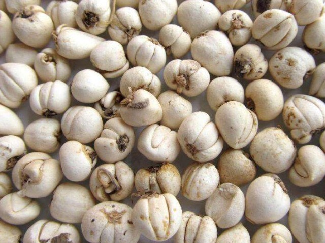 痰热|中医主任它是肺部的“天然清道夫”，每天喝2口，让肺慢慢变好