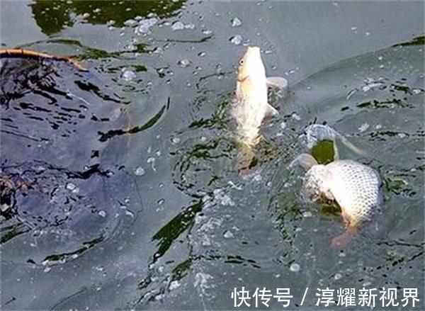 鱼情|钓鱼时的爆护配方真的存在吗，这些因素缺一不可!