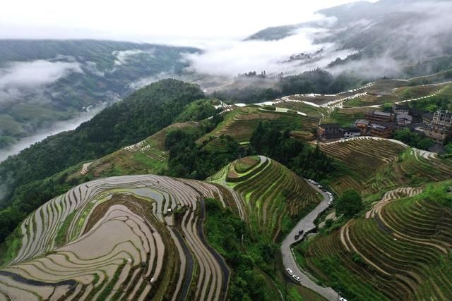 龙脊梯田|烟雨龙脊景色美