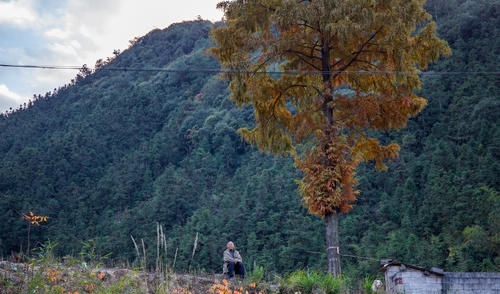 古村|江浙沪最适合度假的地方，不是莫干山！语文课本中都出现过的地方