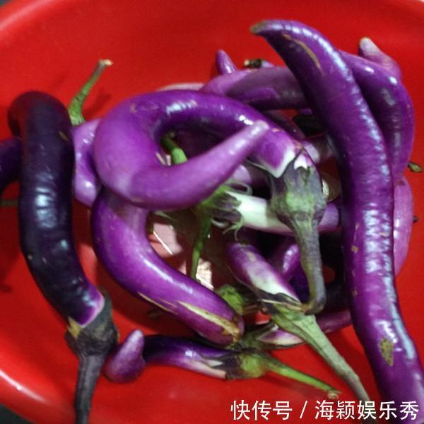 茄子做法,肉沫茄子,红烧茄子,凉拌茄子,家常菜,茄子种植技术