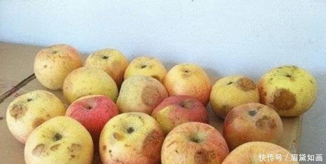 红薯|这5种食物别再吃了，医生忠告能不吃就别吃了，因为寄生虫最多