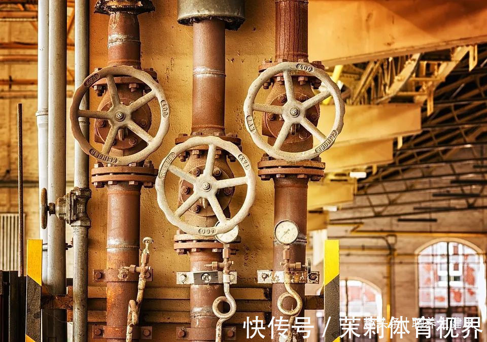 三焦|三焦经,主一身之气!打通它,排掉闷气、病气、火气,气顺百病消