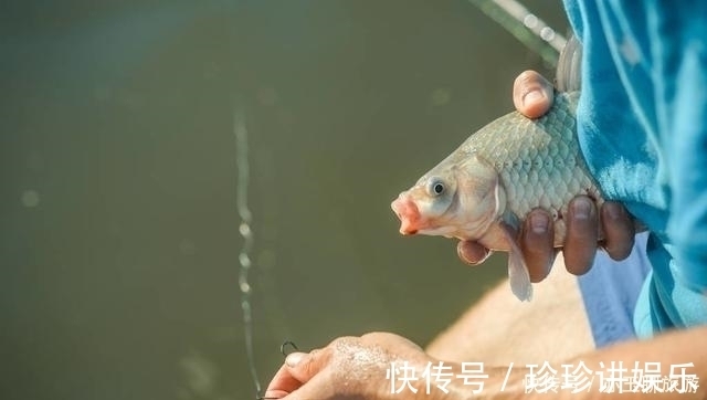 要点|钓鱼可能从来没有想过认真分析这两点,这才是夏季获鱼的要点所在