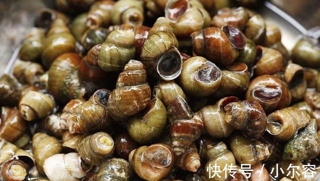 美味|炒石螺最好吃的做法,简单美味又馋人,看看你喜欢吃不?