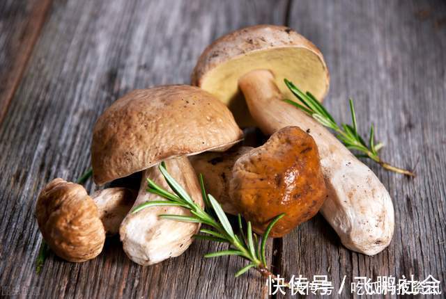 成本生活|日常生活中最实用的生活小窍门小技巧