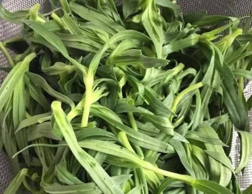 肠道|遇到它必买10斤,好吃美味,肠道来次大扫除,越吃越瘦,口臭没了