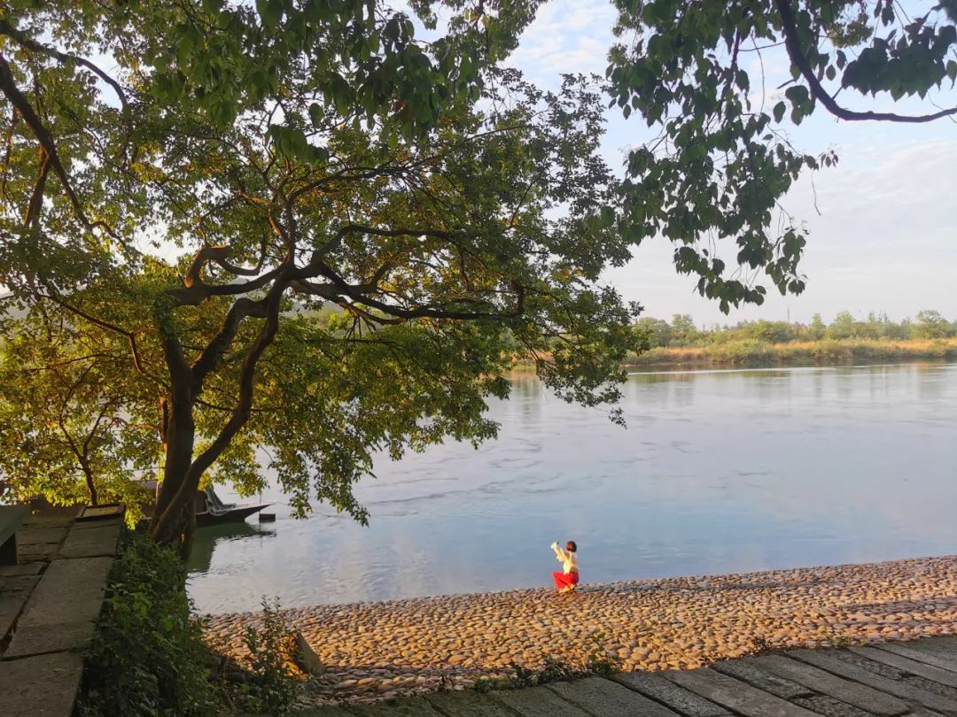 炎炎夏日来啦！赏花、观景、饮茶……带你觅夏凉！