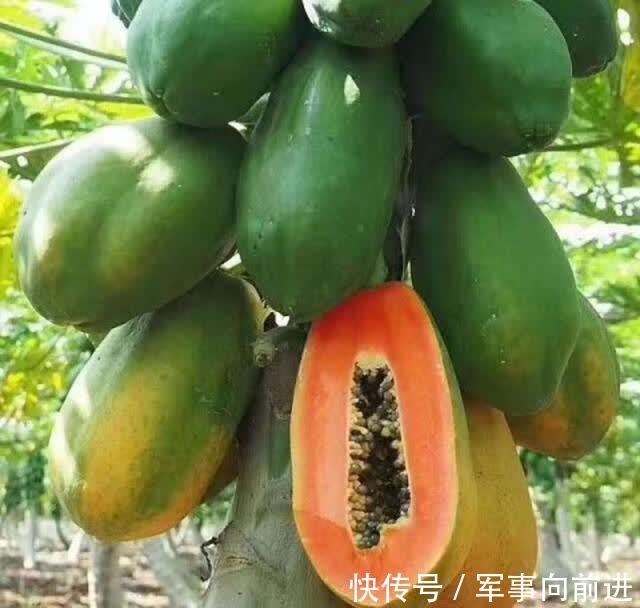 营养物质|适合女性吃的三种食物,营养丰富,延缓衰老,早吃早健康!