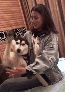 |搞笑GIF:发现武林高手了!这一脚让我从此踏上了不归路