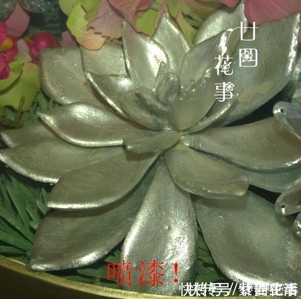 廿四|花贩子不小心说漏嘴的秘密：4种花再漂亮也别买，买了只会添堵