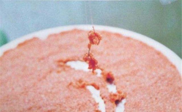 冬季钓鱼，5小5不钓，冬钓爆护还是空军，基本都概括在其中了