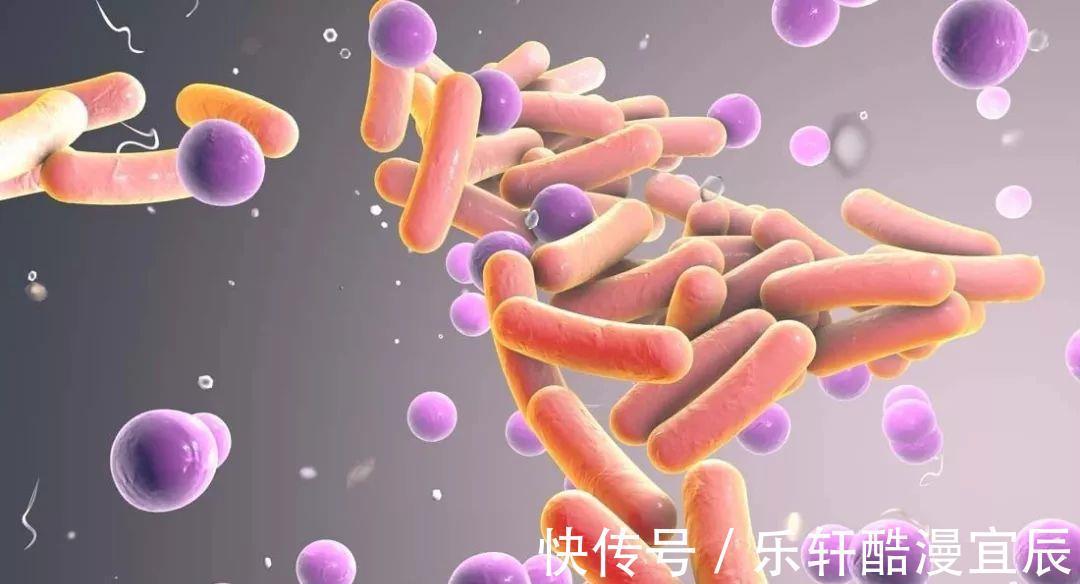 肉类|担心糖尿病、高血压无花果吃出4大功效,降胆固醇也在内!