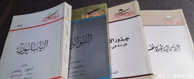 阿拉伯语|阿拉伯有绚丽多姿的语言文学,最有特点的就是灵活多变的闪语