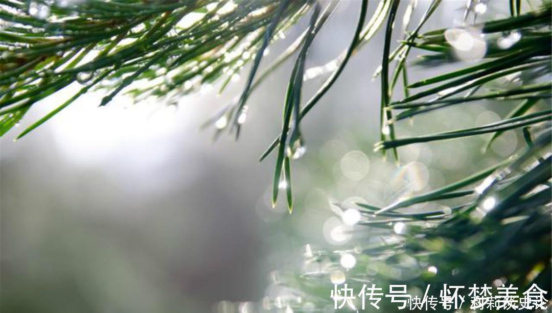 雨夜@宋朝诗人张咏这首七绝《雨夜》,同样写得很孤独,道尽了思乡之苦