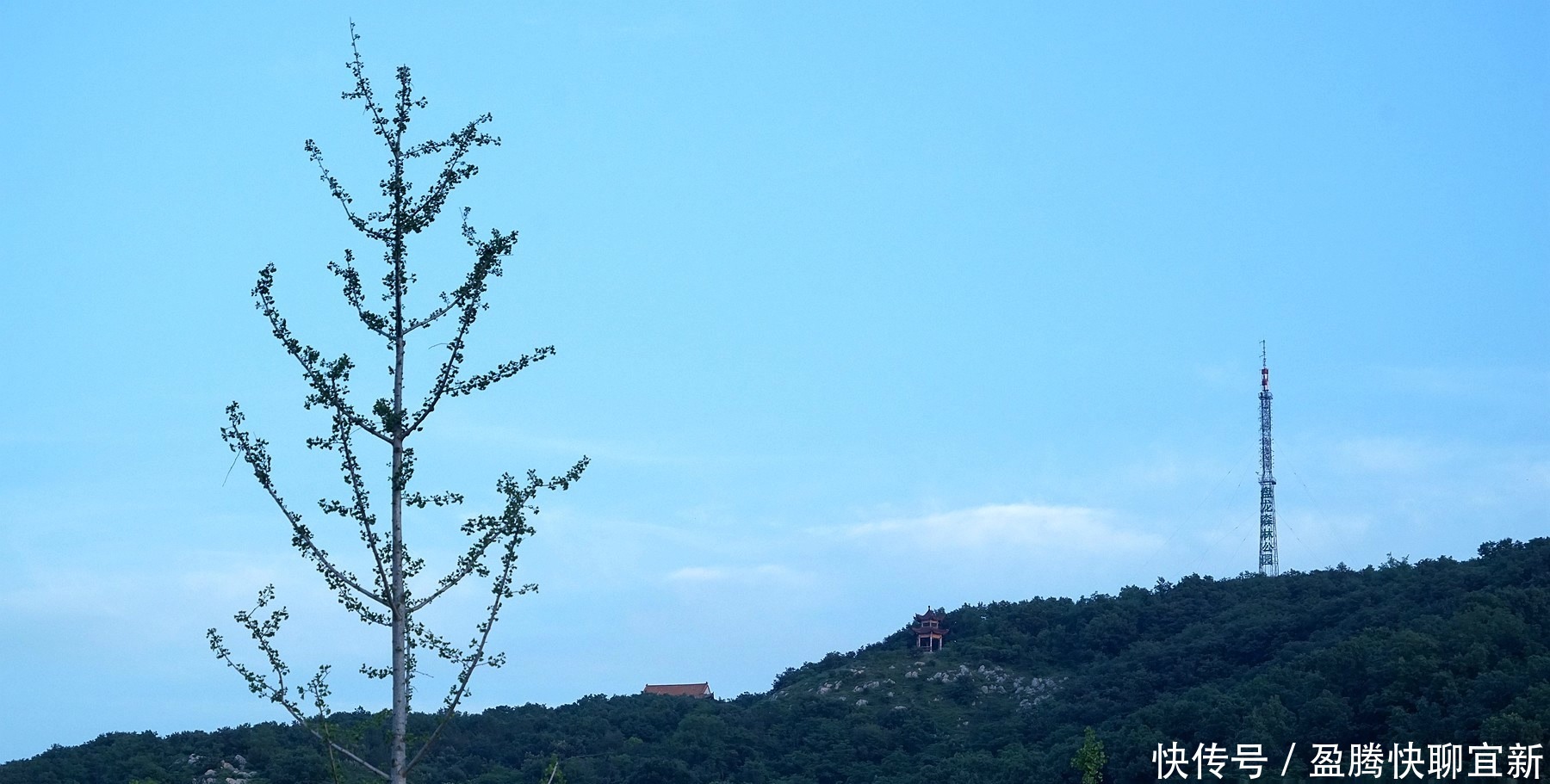 儿童节|盘龙拾影：小城刚歇，故人邀约弄黄昏；华灯初上，乐山飞霞牵盘龙