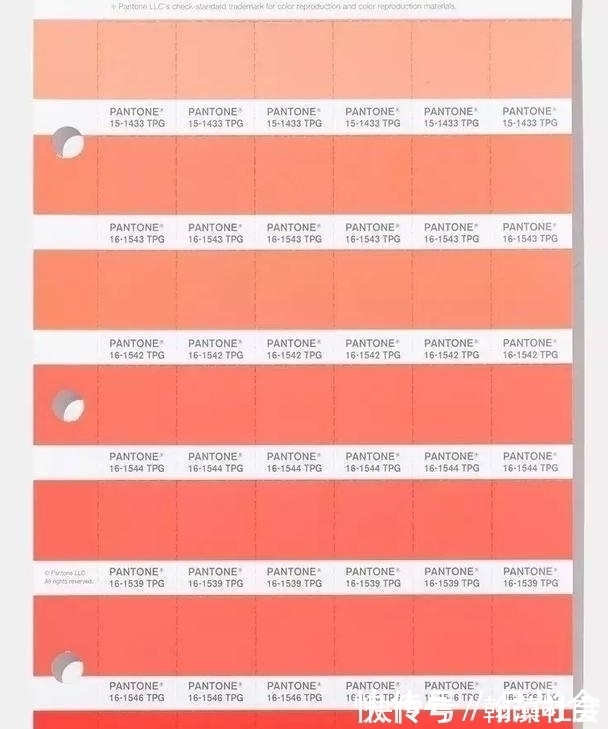 珊瑚色 黄皮灾难!黄皮妹子一定要绕开这些口红雷区,求求你们不要买!