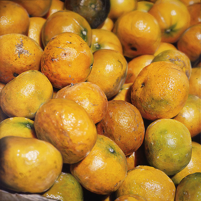 手艺&乍一看是照片！60张“欺骗”眼睛的绘画，有这手艺还要相机干什么