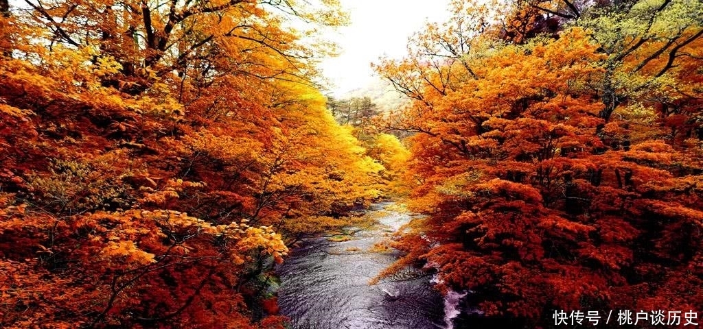 展示自己|彪悍的唐朝人人都想指点江山,宁做百夫长,胜作一书生