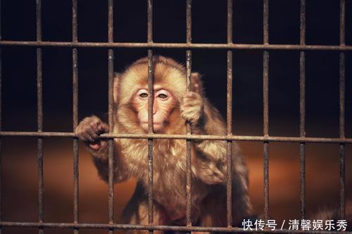 心理学：从不讲究吃穿、也不喜欢买化妆品的女人都是怎样的心理？