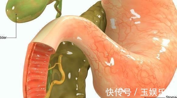 高脂血症|花生虽是长寿果,但也是催命符4种人越吃越伤身你能吃吗