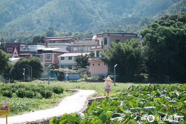 四菜一汤|开车就能到的复活节岛？这里不光有土楼：福建漳州、永定土楼自驾自驾全攻略