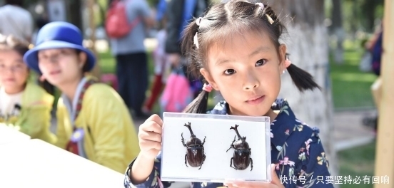 胆量|孩子身上的三个行为,意味着他的胆量如何,家长可自行判断