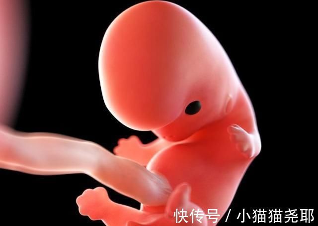 准妈妈|怀孕1~40周，每周身体有何变化？送你一份“孕期清单表”！