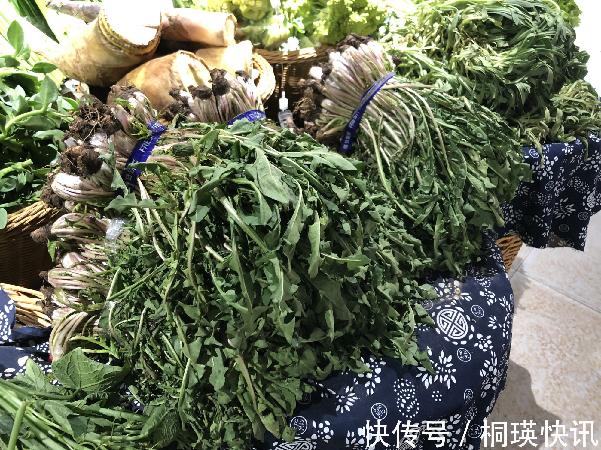 蒲公英|春天一道，这8样受欢迎的“养生菜”别错过，贵点也要尝尝鲜！