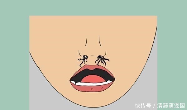 旺盛|为啥鼻毛长着长着,就会“窜”出来 鼻毛过于旺盛,说明了啥