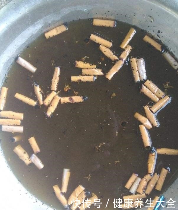 4个养花坏习惯,赶紧改掉,不然花只剩空盆!