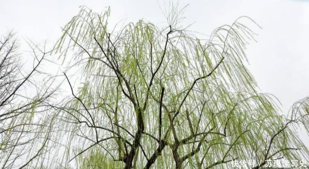 也成为|薛涛一首感人的爱情诗,细腻的笔触娓娓道来,写尽了相思之苦