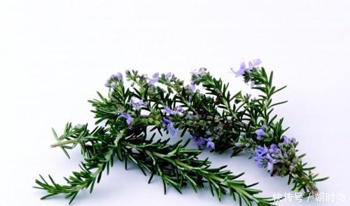 头发|闺蜜直接把洗发水抹到头发上,难怪脱发掉发,原来我们都做错了