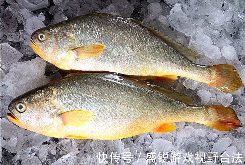 海鱼|秋天,有钱没钱,5种海鱼记得给孩子吃,富含DHA,孩子头脑更聪明!