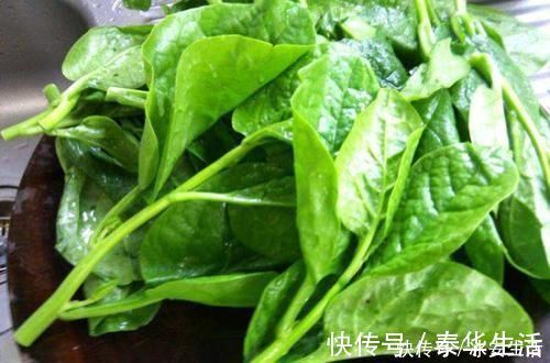 木耳菜|含钙量不输牛奶,嫩叶口感清脆爽口,俗称“豆腐菜”,吃过吗?
