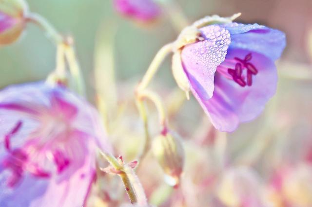 闭口禅!能在这几种特殊情况下保持沉默的人,往往层次很高,很不简单
