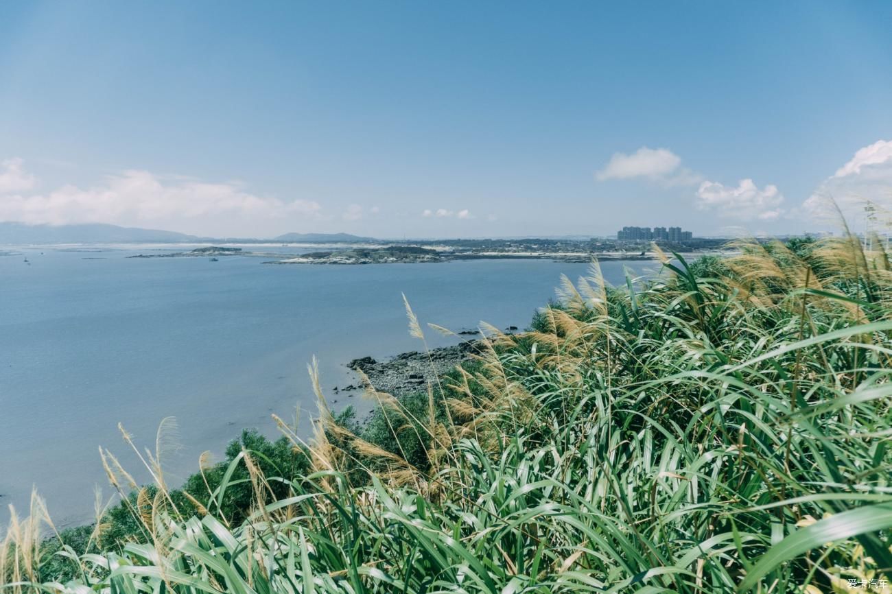 夏天|这个不平凡的夏天，带你去看不平凡的海呀